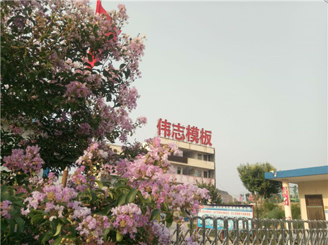 專業 專注，河南偉志模板在2018年期待您的光臨
